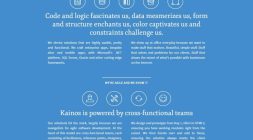IT Company Websie Design